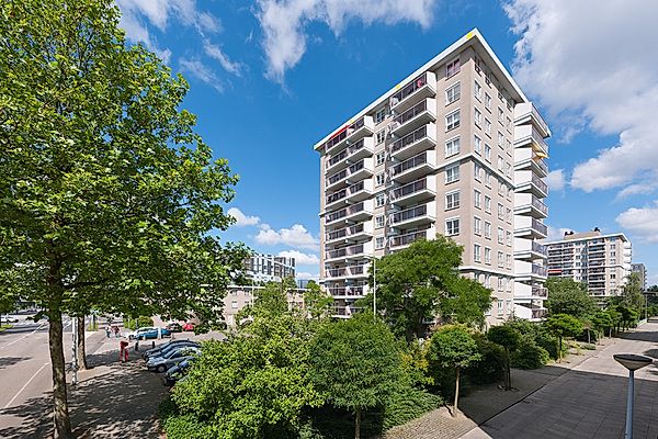 apartments for rent on Hogewerf 219