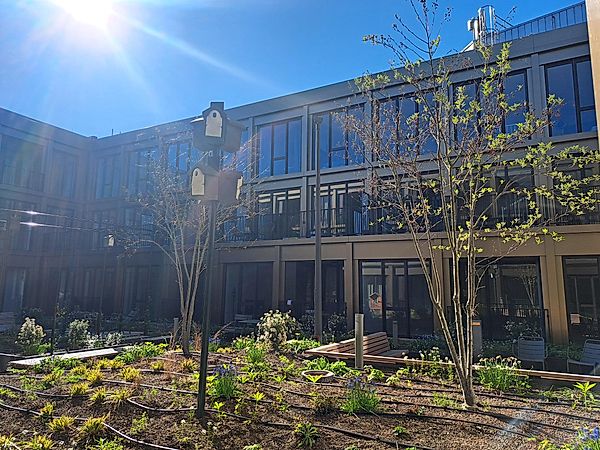 appartementen te huur op Vijfharingenstraat 15 C18