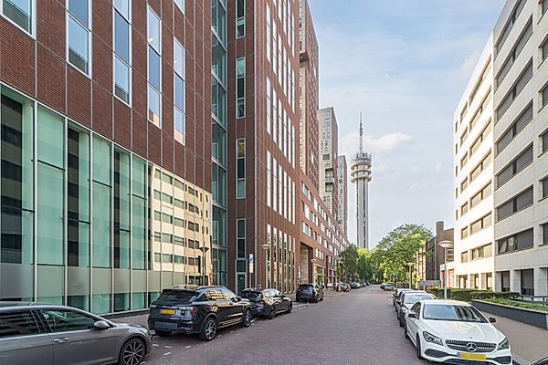free-sector-houses for rent on Carolina van Nassaustraat 197