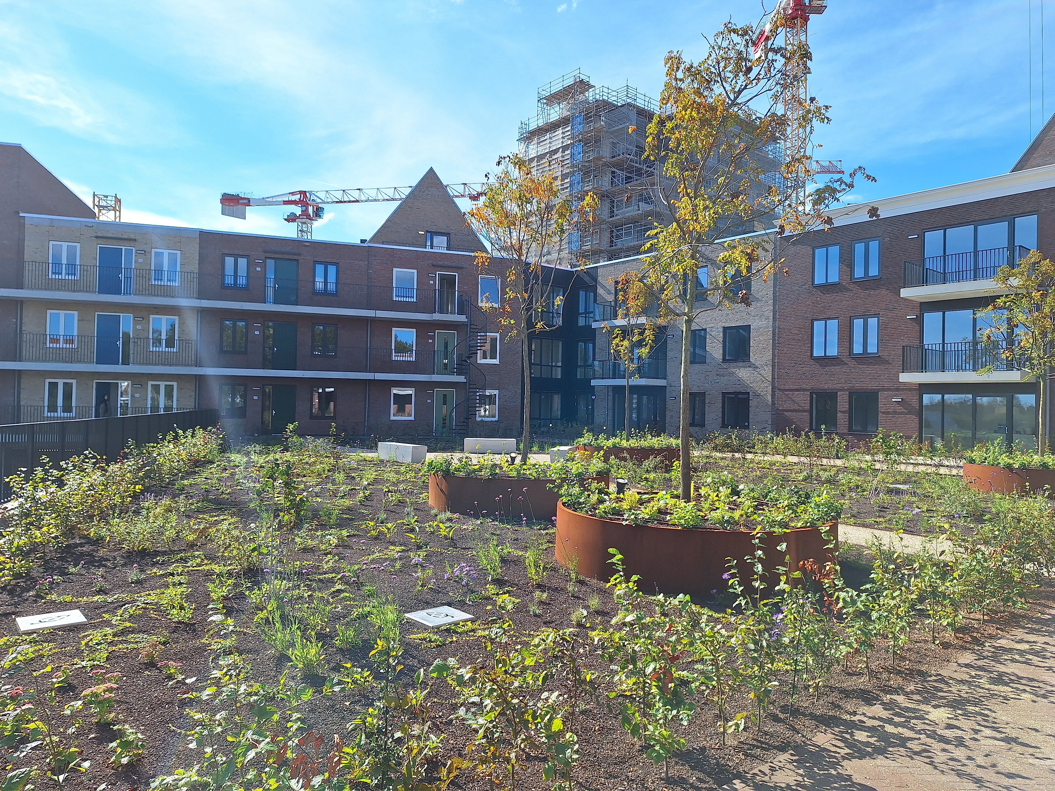 Apartment in Zaanstad