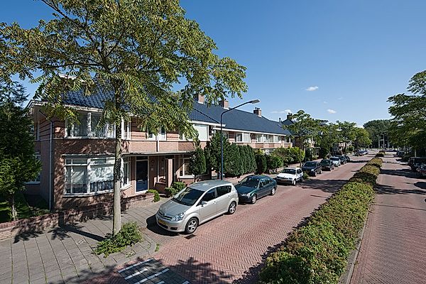 apartments for rent on Spotvogellaan 68