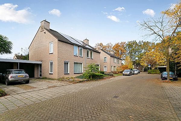 apartments for rent on Beryl 19