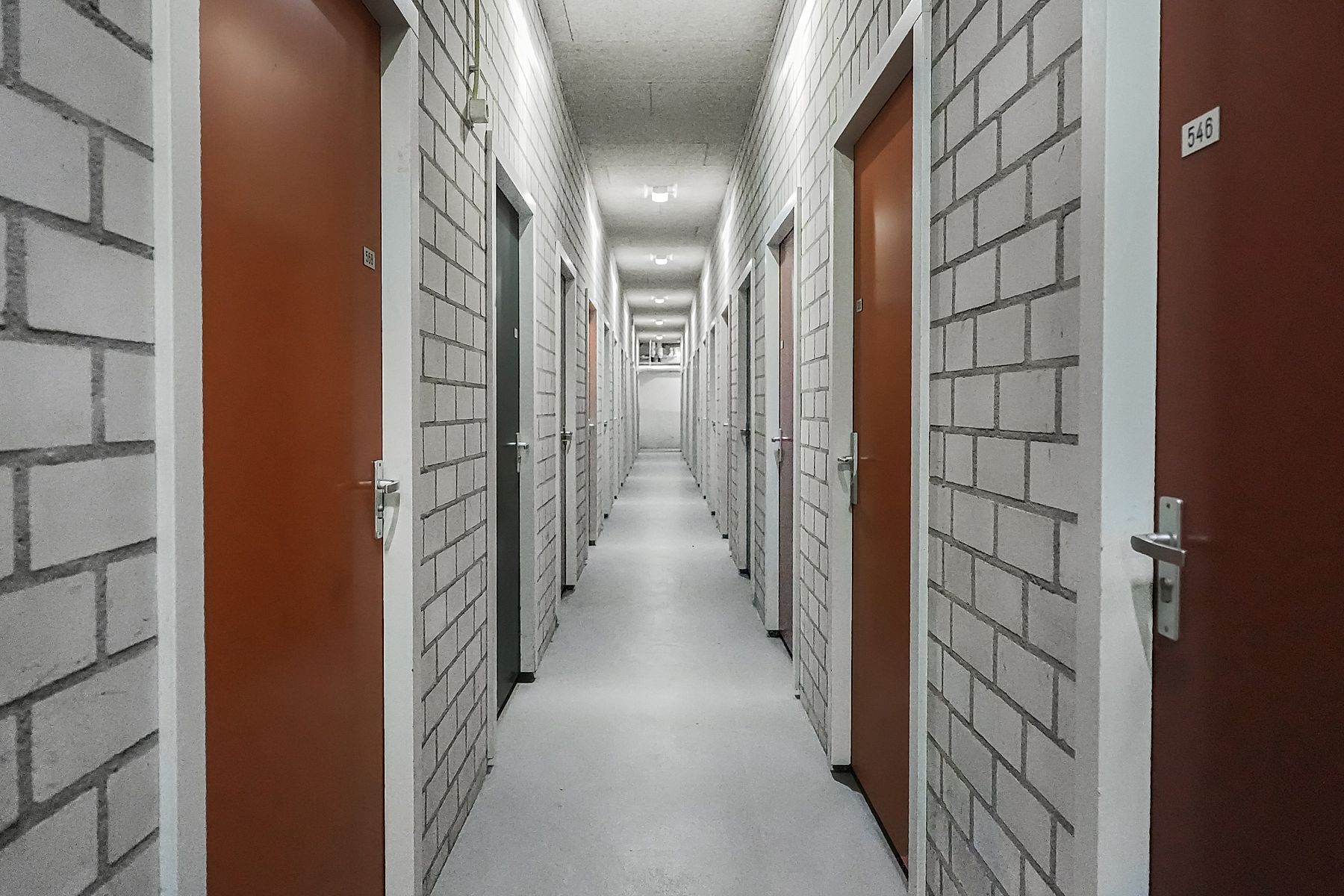 Image 22