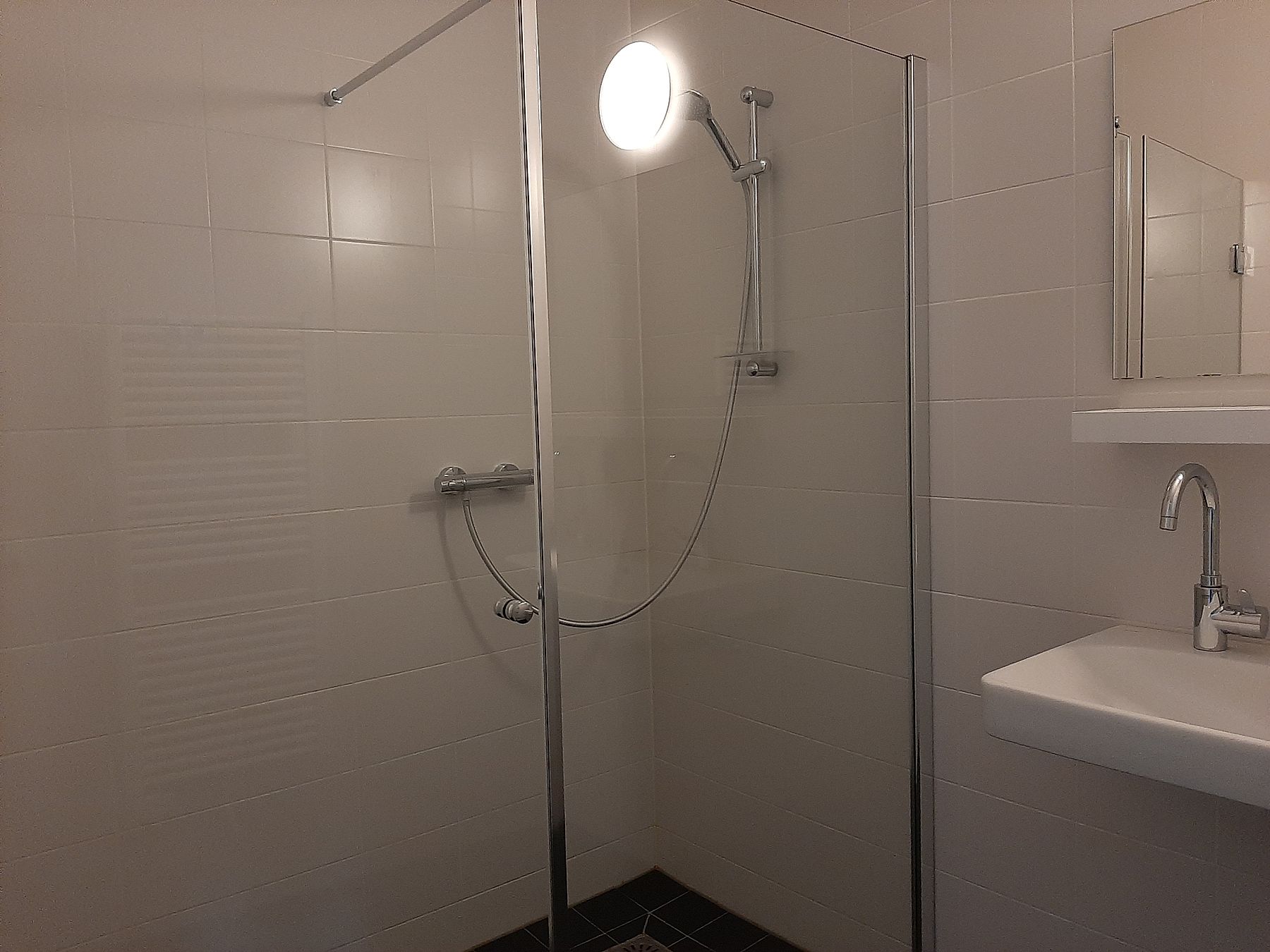 1 bedroom apartment for rent in Onderwijsboulevard 804 5223 DV 's-Hertogenbosch