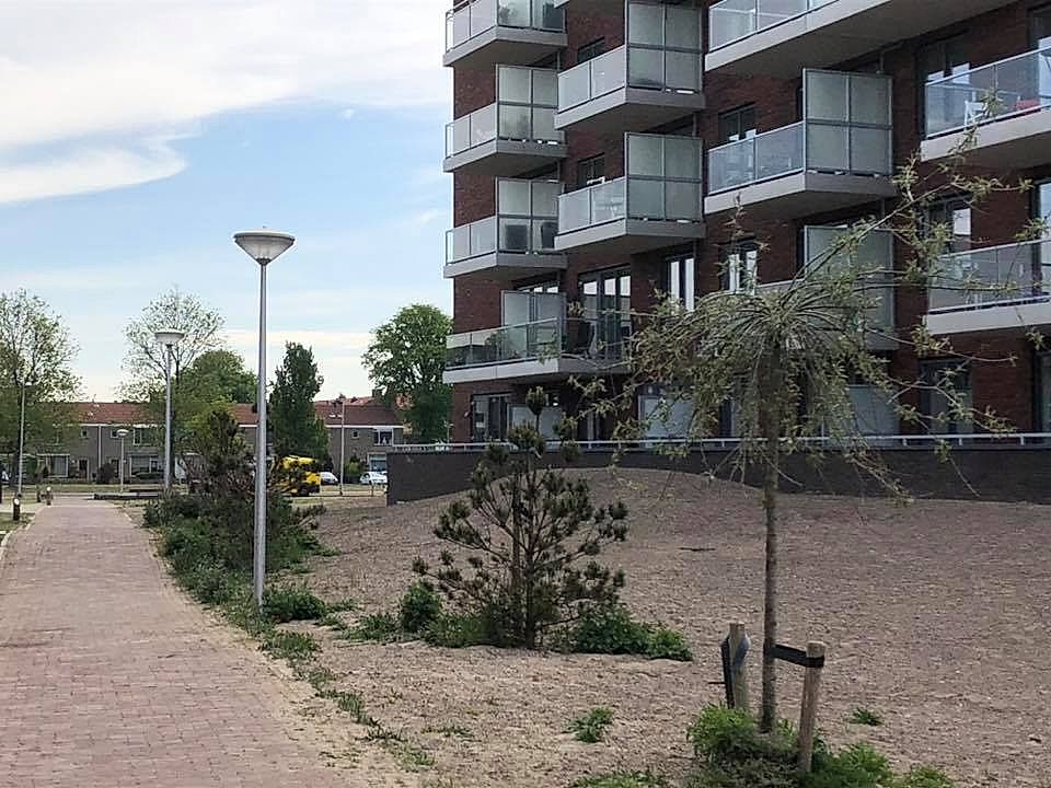 Appartement in Velsen
