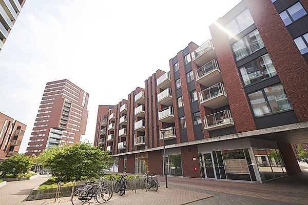 private-rentals for rent on Meerzand 57