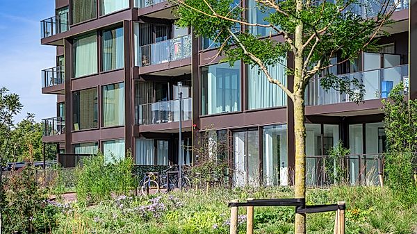 apartments for rent on C.T. Storklaan 381