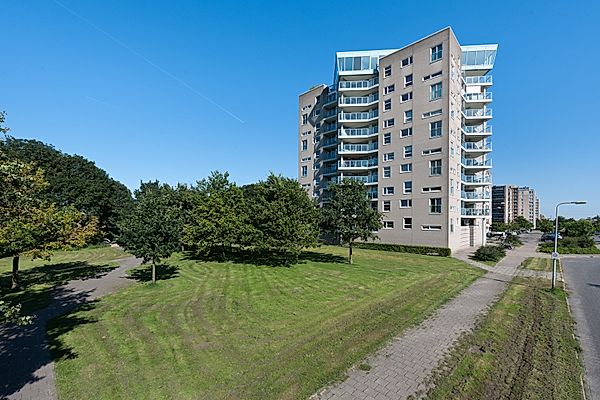 appartementen te huur op Meerkoet 389