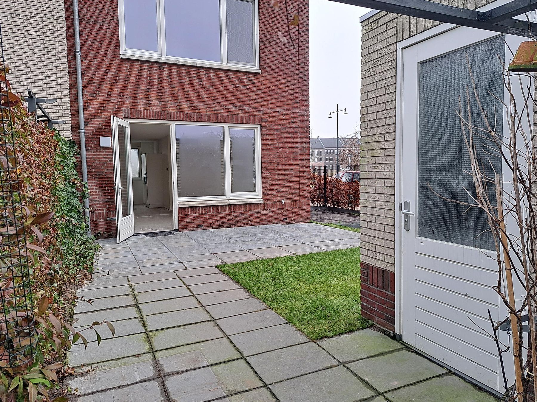 Image 11