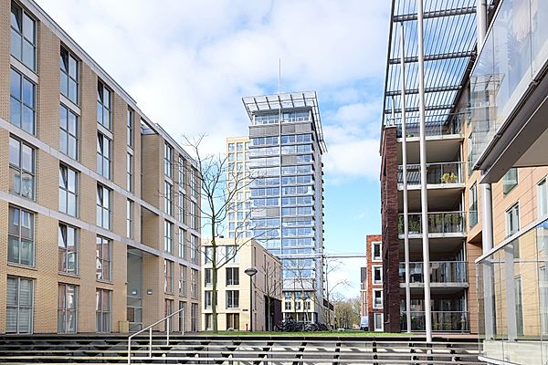 apartments for rent on Bellevuelaan 101