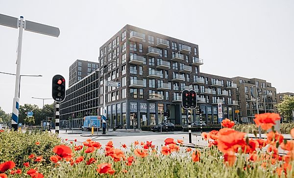 apartments for rent on Theodora Eigemanpad 90