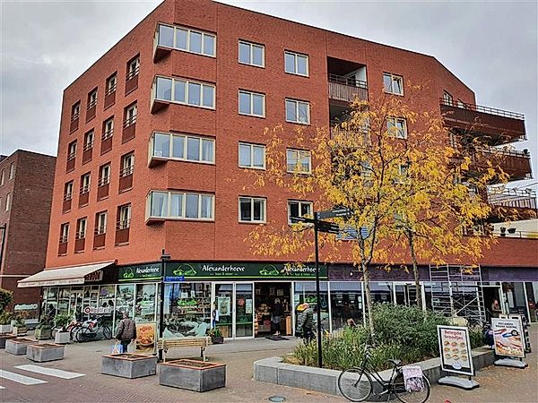 homes for rent on Sao Paulostraat 15