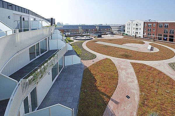 free-sector-houses for rent on Weegbree 9