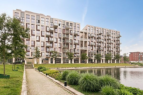homes for rent on Hoflaan 113