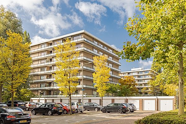 free-sector-houses for rent on Niagara 41