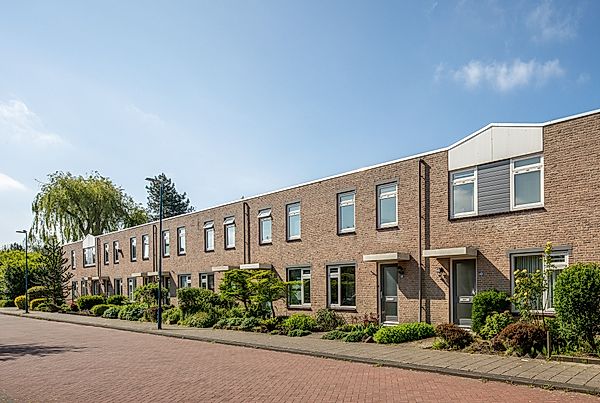 Safarigeel 50, Zoetermeer