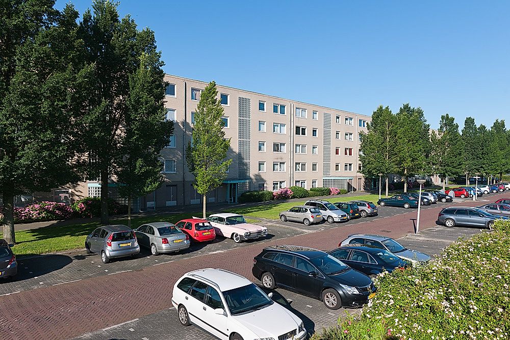 Image 9