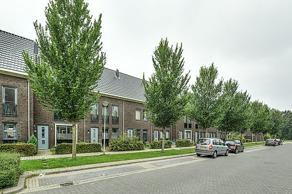 appartementen te huur op Floralaan 89