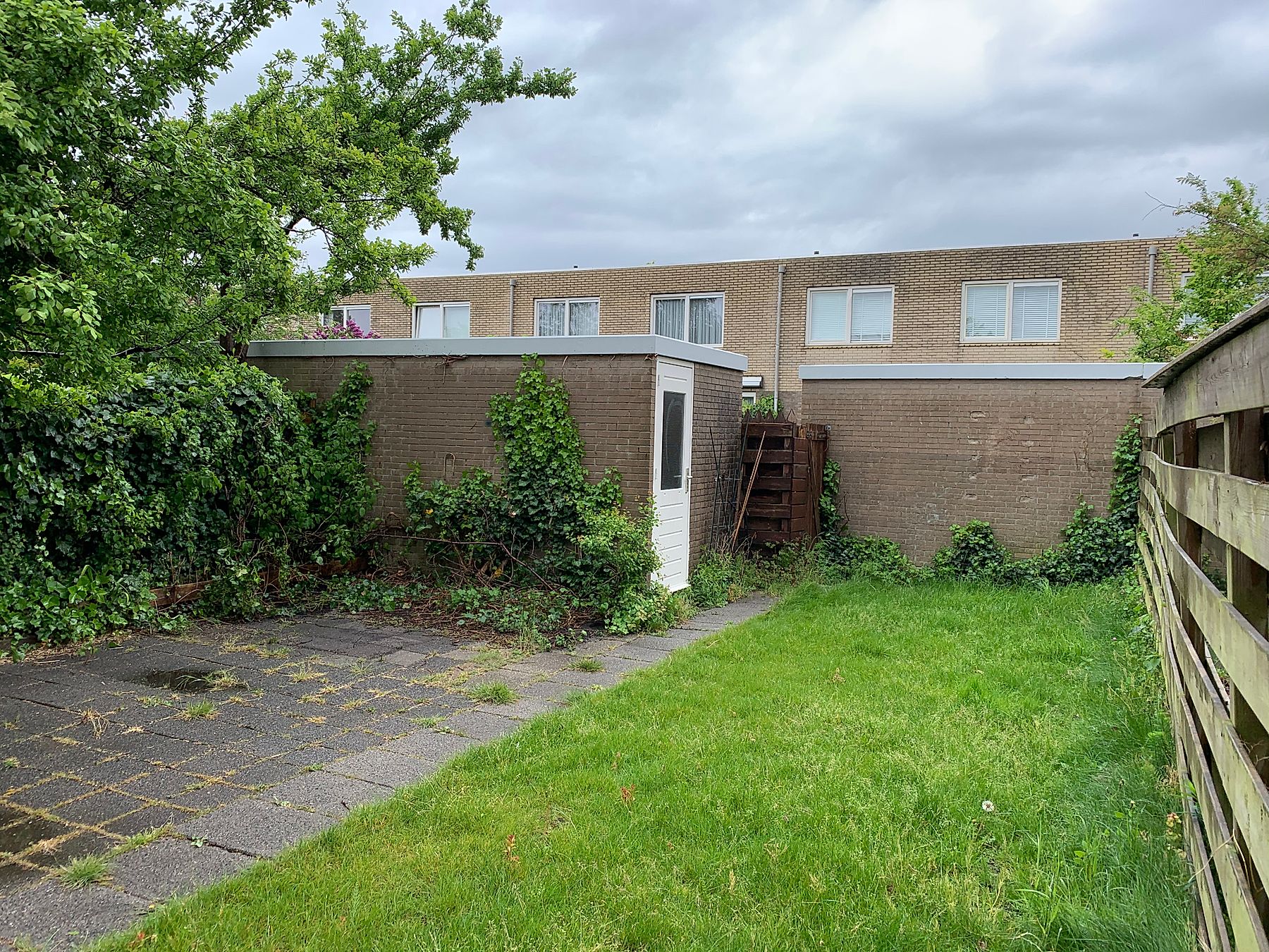 Image 12