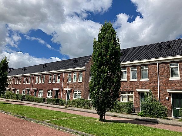 appartementen te huur op Ransuil 43